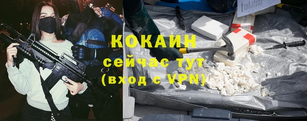 прущие грибы Медногорск
