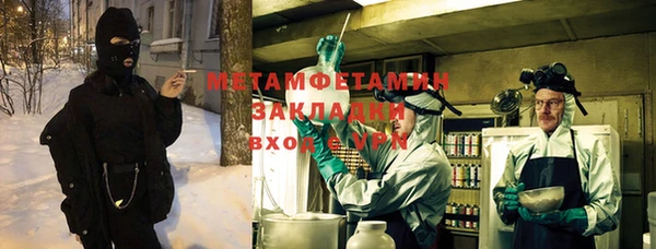 прущие грибы Медногорск