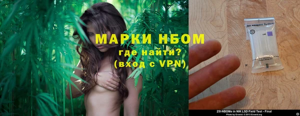 прущие грибы Медногорск