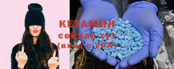 прущие грибы Медногорск