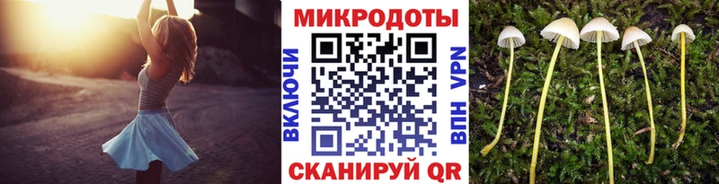 Галлюциногенные грибы мицелий  закладки  Костомукша 