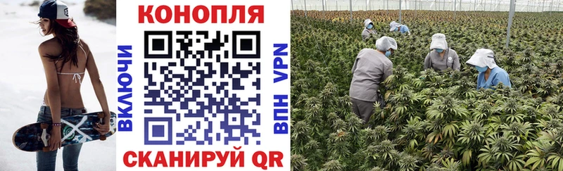 Каннабис семена  гидра ссылка  Костомукша 